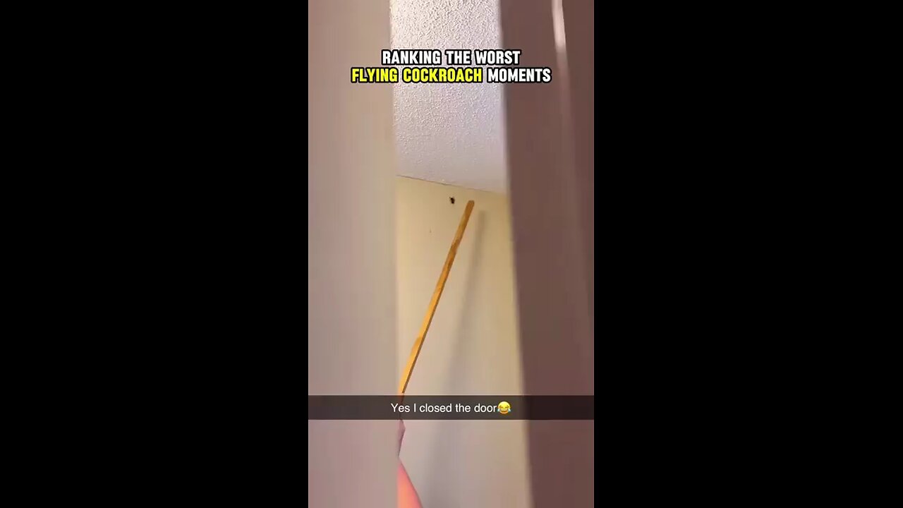 Ranking_The_Worst_Flying_Cockroach_Moments