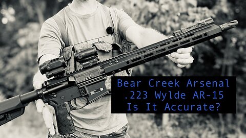 BCA .223 Wylde Accuracy