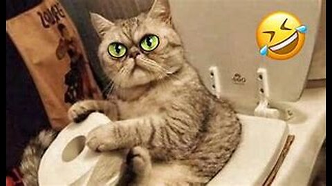 Funniest Cats & Dogs of 2025 – Try Not to Laugh! Part-5
