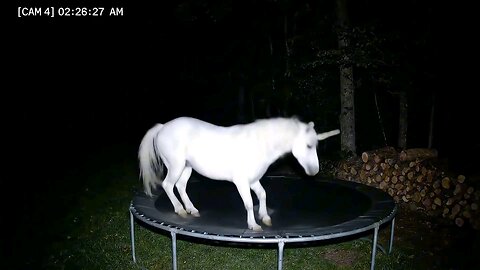 Natural Animals by AI