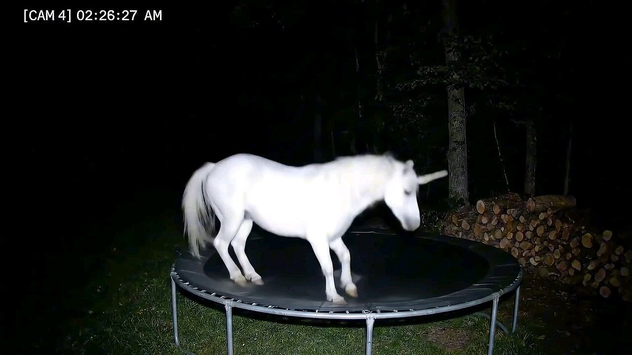 Natural Animals by AI