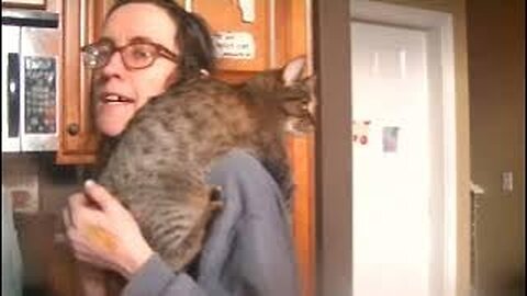 cats purr becuz they are a superior species