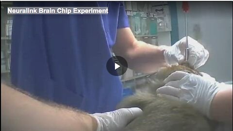 "Experiment on Neuralink Brain Chip"