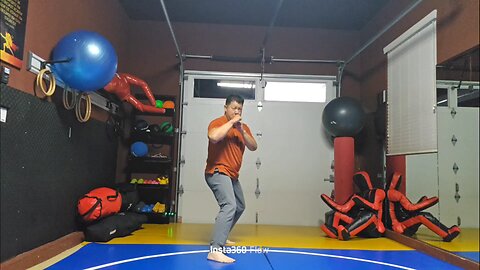 WTD Crescento Kick to Wheelkick sequential