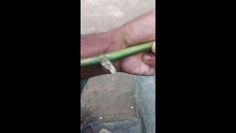 bamboo stick