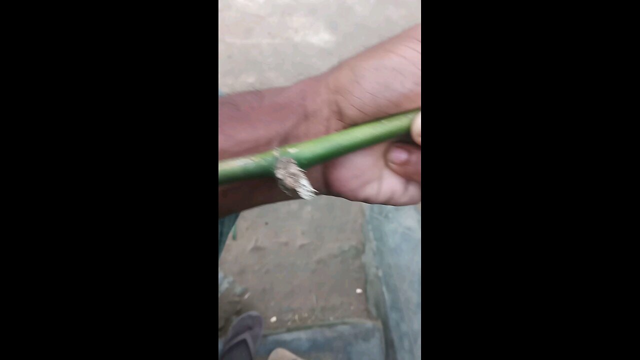 bamboo stick
