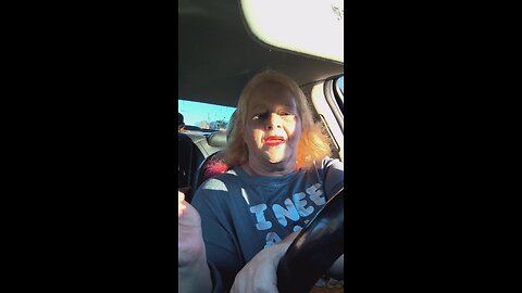 stray cat strut while driving