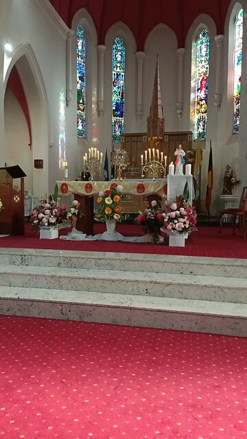 DOWN IN ADORATION FALLING, THIS GREAT SACRAMENT WE HAIL: EUCHARIST IS THE "REAL PRESENCE" OF JESUS