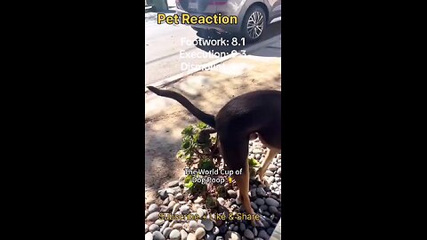 funny action 💩💩