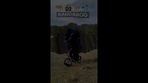 If Animals Rode Bicycles 😂🚳