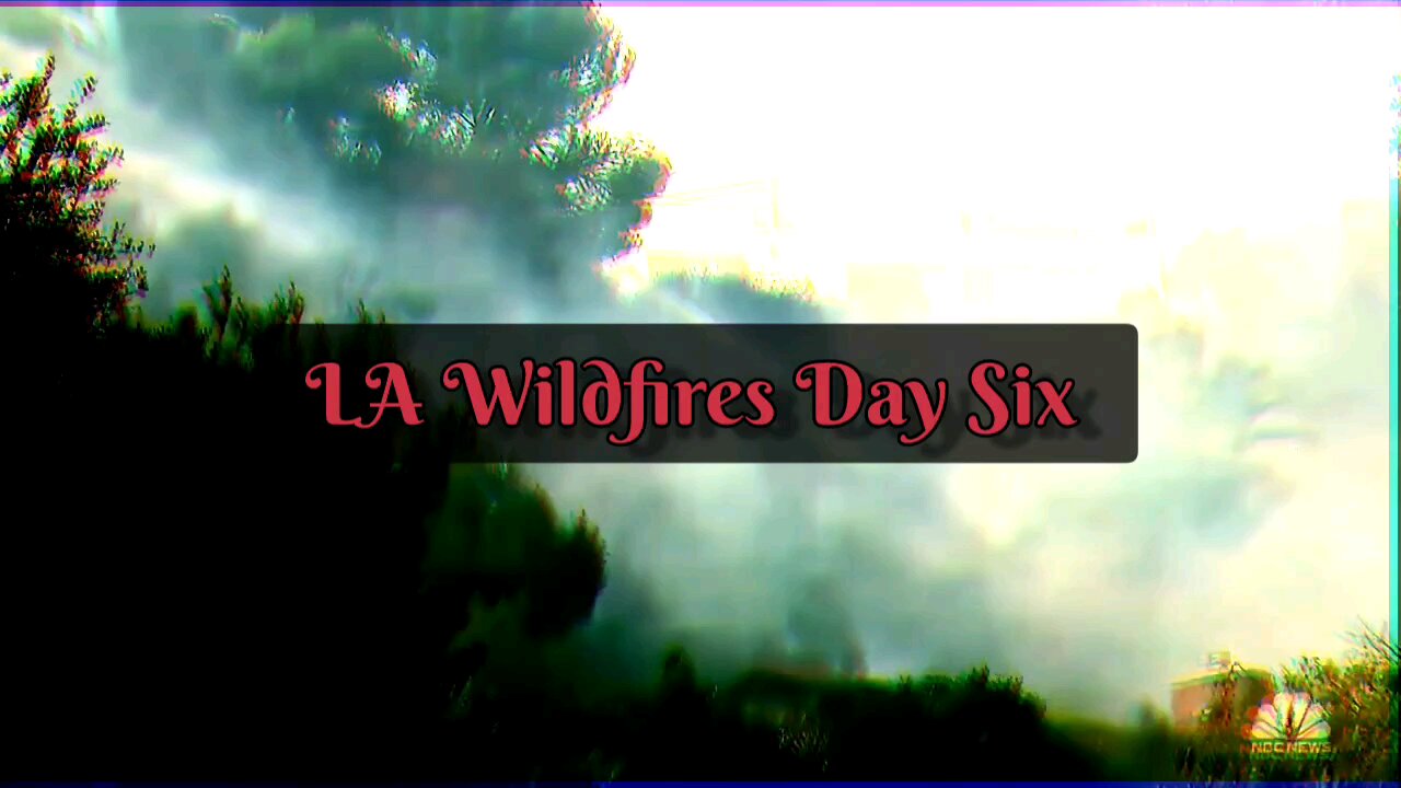 LA Wildlife Clip