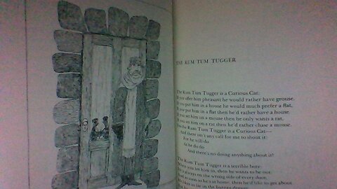 The Rum Tum Tugger by T.S. Eliot (audio only) #shorts