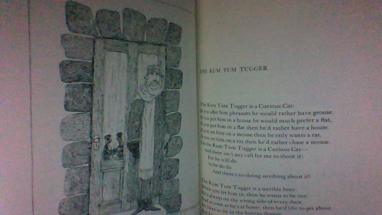 The Rum Tum Tugger by T.S. Eliot (audio only) #shorts