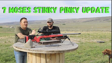 The 7 Moses Wildcat Cartridge. Stinky Pinky Bolt Update