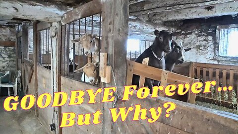 Saying GOODBYE Forever!