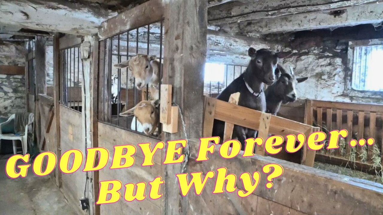 Saying GOODBYE Forever!