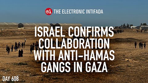 Israel confirms collaboration with anti-Hamas gangs in Gaza, with Asa Winstanley