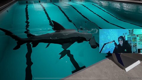 There's a Shark in the Pool!!