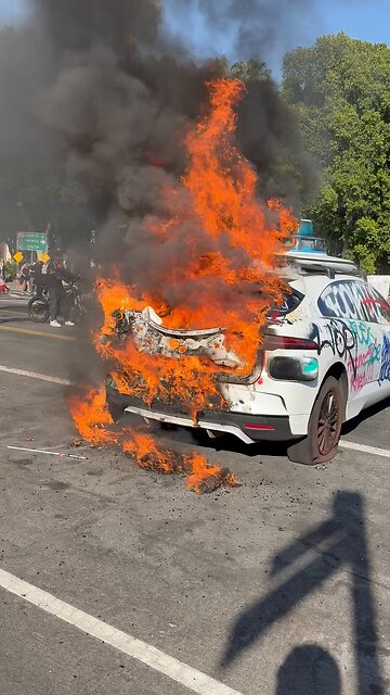 A protestor waves a Mexican Flag in front of a burni...