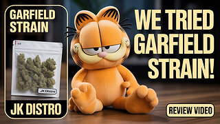this garfield strain had me laid out like lasagna 🧡😴 | jk distro review