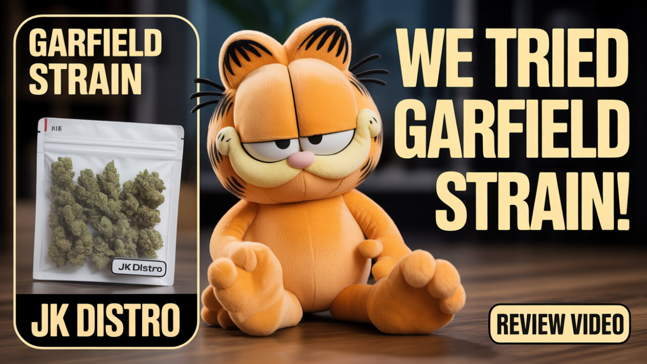 this garfield strain had me laid out like lasagna 🧡😴 | jk distro review