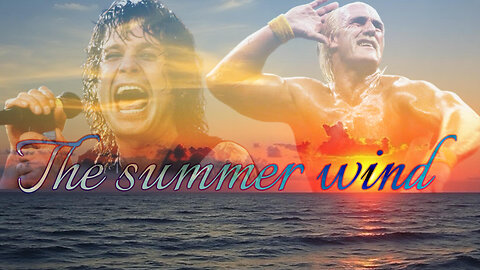 294. The Summer Wind