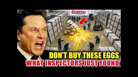Elon Musk: "Don’t Buy Eggs In These 7 Grocery Stores (Here’s Why)"