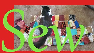 Sew Sunday Catch Up || Stitch & B*