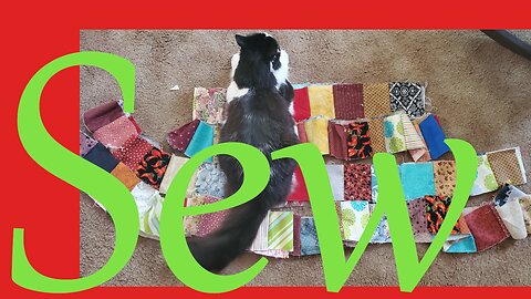 Sew Sunday Catch Up || Stitch & B*