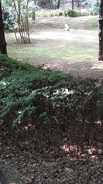 Jesus Christ my LORD.