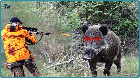 How Do American Hunters And Farmers Deal With Million Of Wild Boar And Monkey, Baboon By Guns.