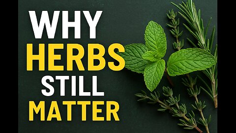 Why Herbs Still Matter | A Modern Take to Ancient Remedies