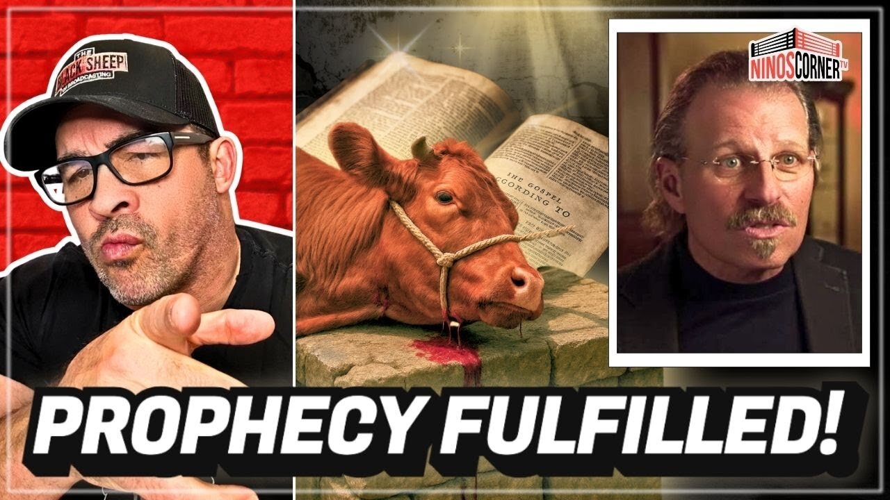 🚨BREAKING: First Red Heifer Sacrificed! Prophecy Fulfilled? Signs In The Heavens To Come…