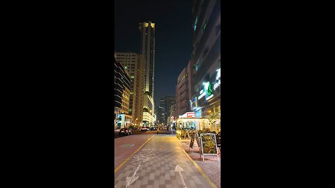 Dubai Night Views