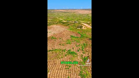 Three generations of fighting desertification in China's Gobi Desert are paying off!