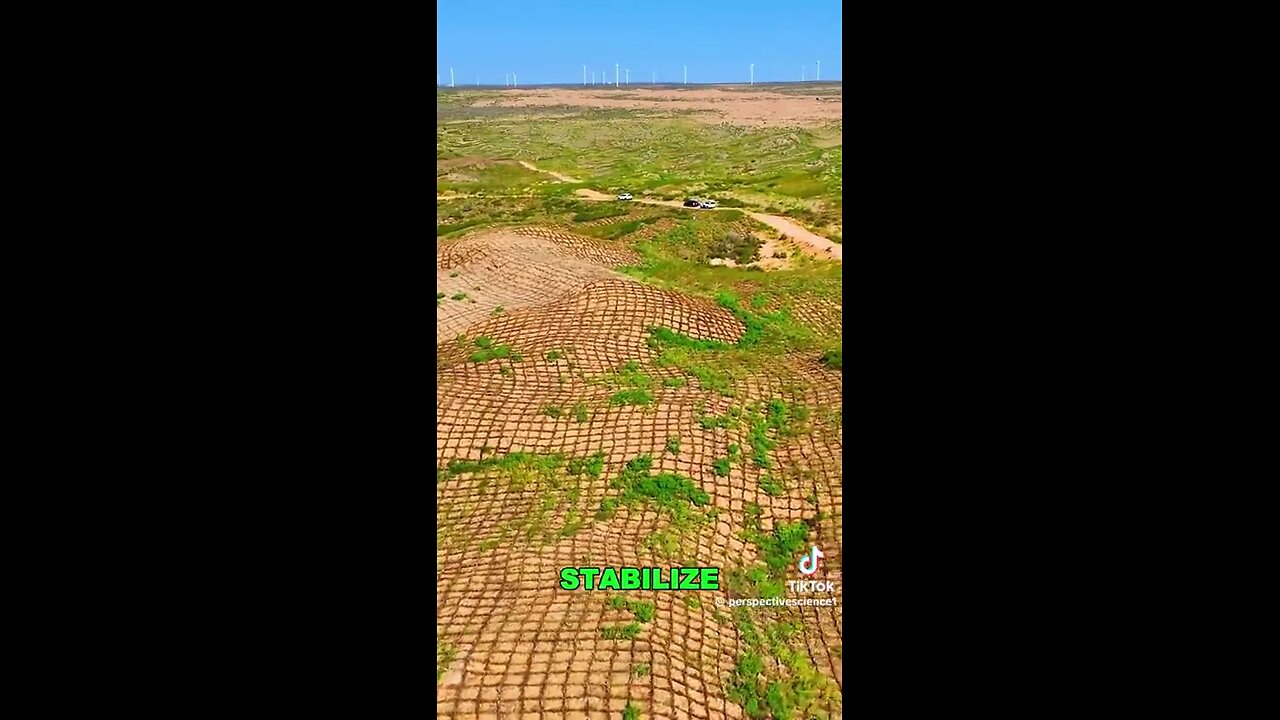 Three generations of fighting desertification in China's Gobi Desert are paying off!