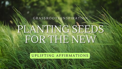 Planting Seeds for the New — Grassroots Inspiration🌿
