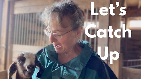 Garden and Barn Tour. What's going on at the homestead?