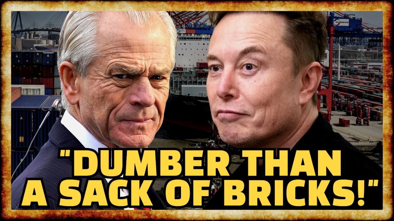 Elon ATTACKS Trump's Trade Advisor Over Tariff Policy