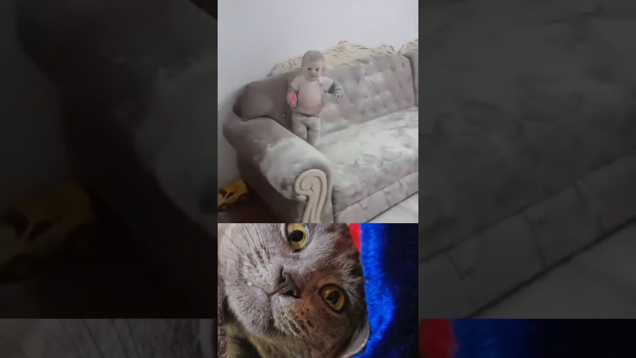 The little pig became a big pig.