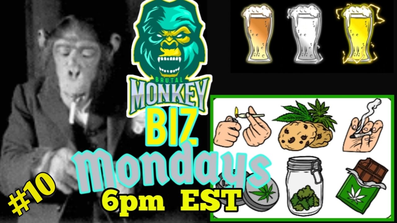 Monkey Biz Mondays: Baboon