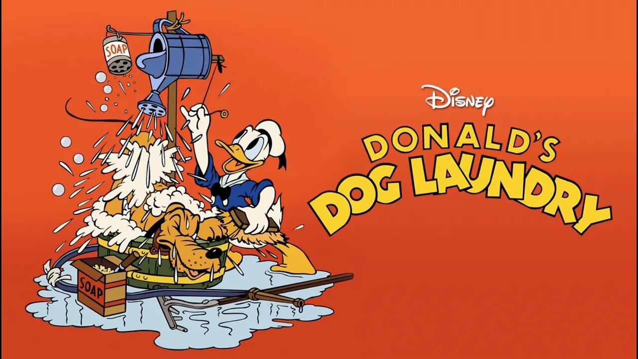 Donalds Dog Laundry