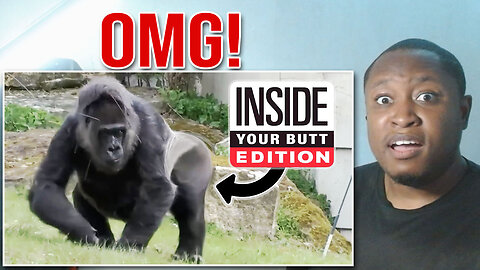 [YTP] Inside (A Gorilla's Butt) Edition Reaction!