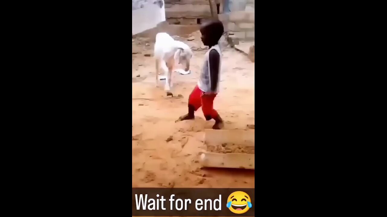 meme video #shorts #viral