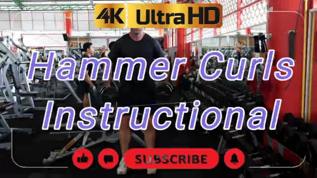 🔥 Hammer Curls for Bigger Arms! Transform Your Biceps & Forearms! 🚀 #trainerdavid #instructional