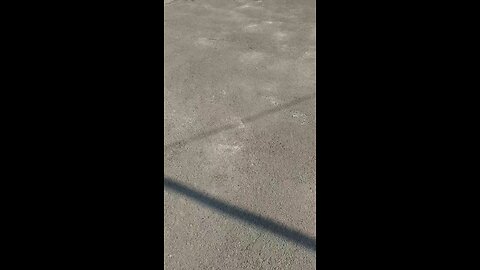 як вам мій транспорт?
