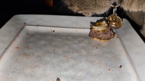 I Kan Has Cheeseburger