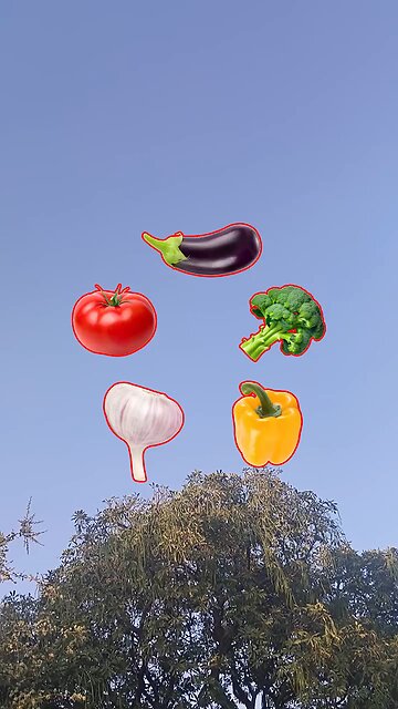 Vegetables 🍅 Challenge