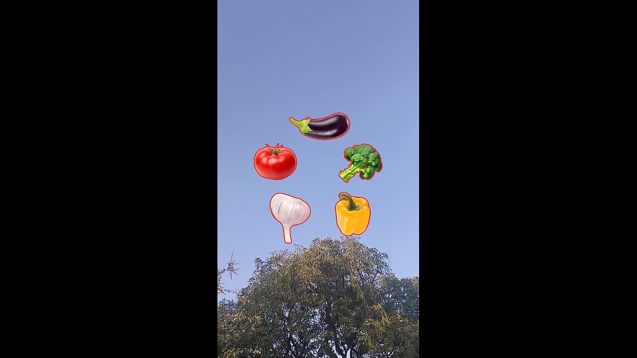 Vegetables 🍅 Challenge