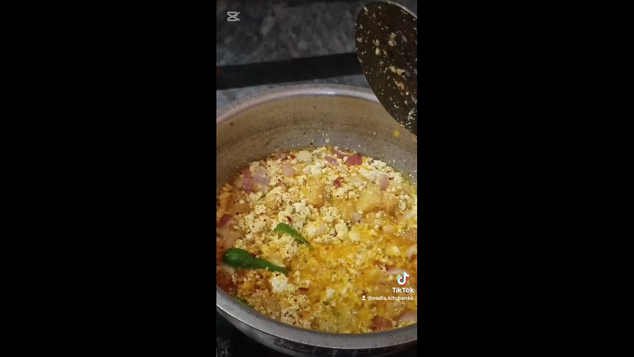 Paneer special recipe